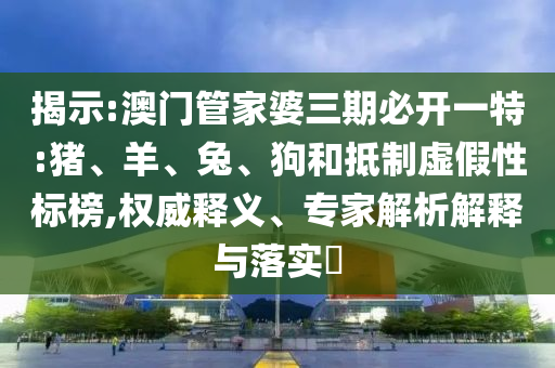2025年全年免費(fèi)資料大全和新澳2025正版免費(fèi)資料和防范虛假標(biāo)榜風(fēng)險(xiǎn)-可靠解答、解釋與落實(shí)